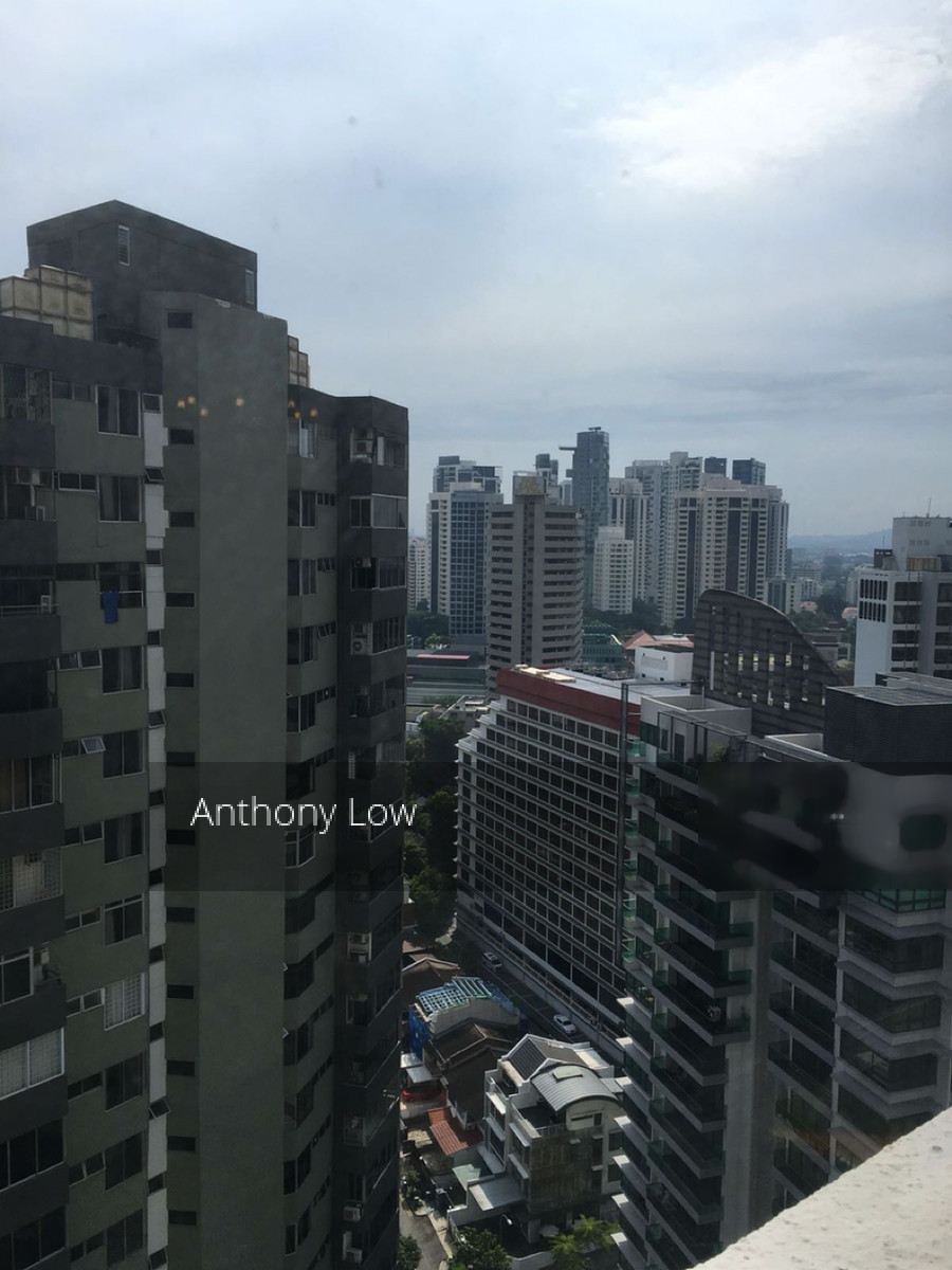 Cairnhill Plaza (D9), Apartment #126876242